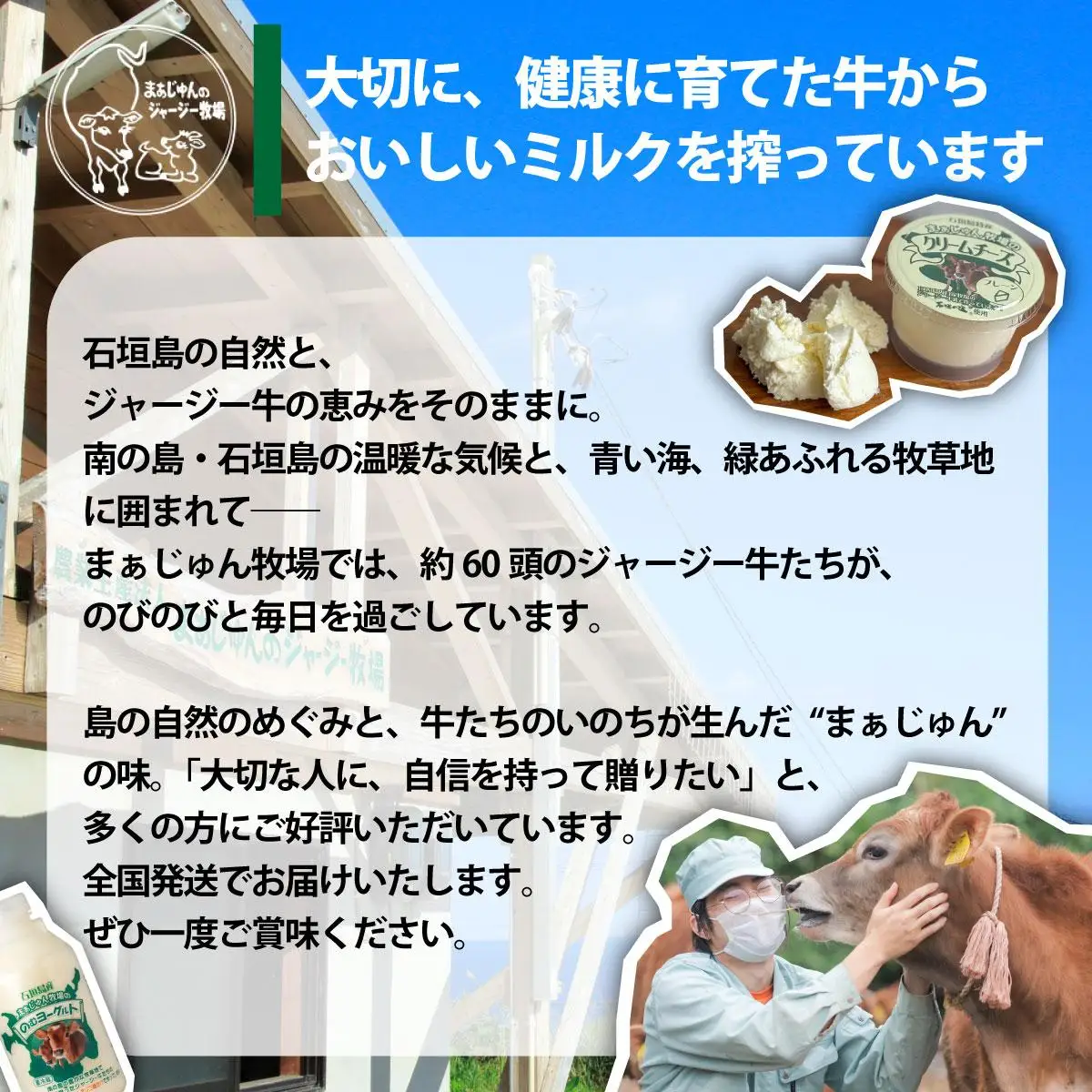 F-2 まぁじゅん牧場の チーズ＆ヨーグルトセット