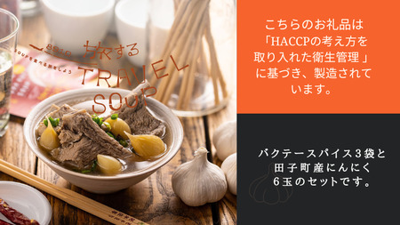 田子町産にんにく B品 6玉＆バクテースパイス 20g×3袋
