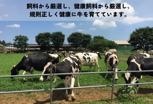加藤牧場 乳製品とカマンベール、ミルクジャムのセット ヨーグルト 乳飲料 ドリンク のむヨーグルト 発酵食品 牧場直送 チーズ 朝ごはん 