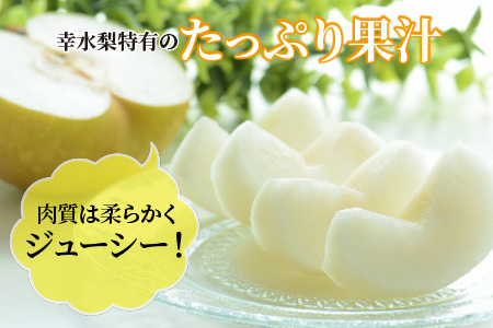【先行予約】幸水梨 5kg前後 (8～14個) たっぷりの果汁を含んだジューシーな梨！【2026年8月中旬以降順次発送予定】【梨 幸水梨 なし フルーツ 甘い みずみずしい 果実 果物 新鮮 お土産 贈り物 旬の果物 冷蔵】 [A-15005]