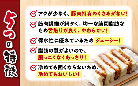 長崎うずしおポーク ロース 1kg 訳あり CAG001 ロース
