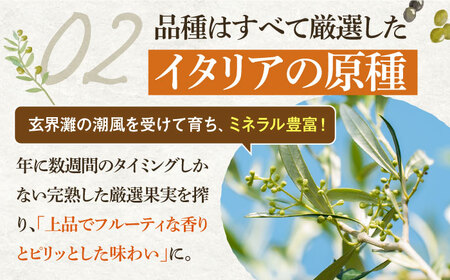 【全3回定期便】【行列のできる法律相談所で紹介！】壱岐産 エクストラバージンオリーブオイル「バル」（100ml） [JDU016] 60000 60000円 オリーブ オリーブオイル オイル