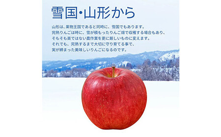 【先行予約】サンふじりんご 5kg (16～20玉) ギフト箱入り 山形県産 《2026年11月中旬から発送開始》 りんご リンゴ 林檎 デザート フルーツ 果物 くだもの 果実 食品 山形県 FSY-0196