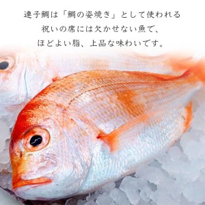 若狭湾 天然 鯖の西京漬け 鯛の一夜干し セット＜京風料理 新橋謹製＞
