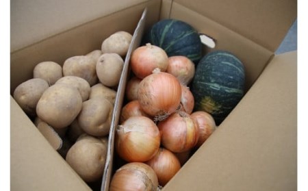 美景農園 野菜定期便 5回 定期便  ≪令和8年産予約受付≫ 新鮮な野菜  [085-03]