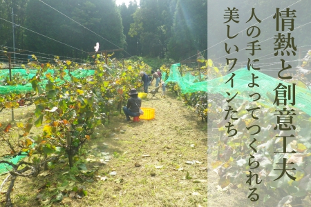 ホッコーワイナリー　山紫野・山霧路　2本セット　KA038_018