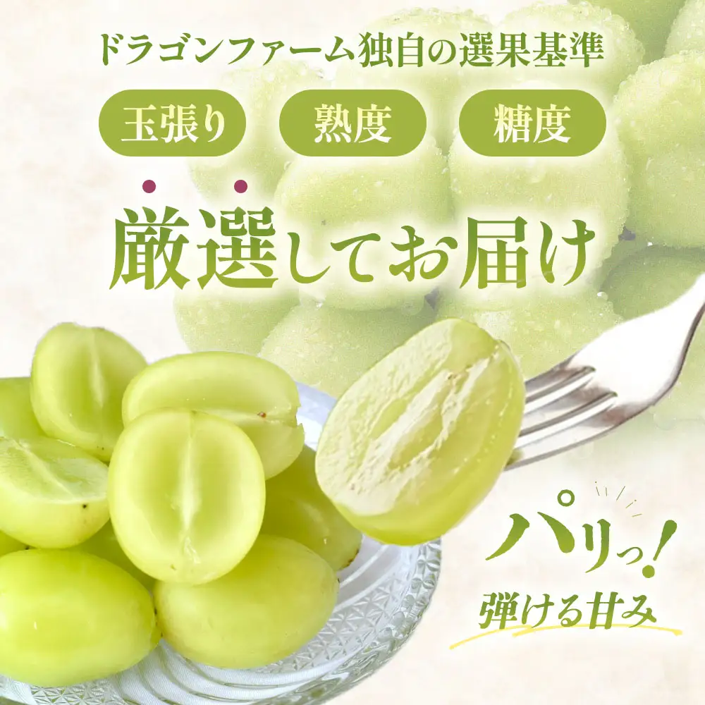 完熟 シャインマスカット 2房以上 1.2kg 山梨シャインマスカット