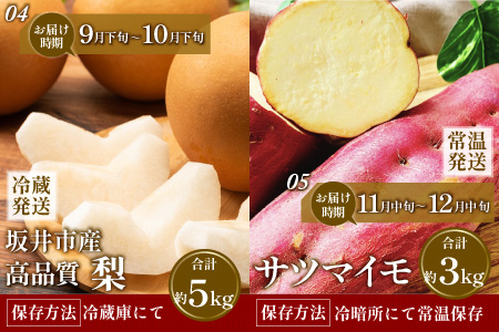 【先行予約】【定期便5回コース】山の幸満喫！限定定期便【2026年7月より発送開始予定】 [G-3204]