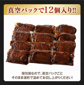 極 漆黒デミハンバーグ12個_極 漆黒 デミハンバーグ 12個 熟成ソース付 真空パック 湯煎可 個別真空 個包装 ハンバーグ セット デミグラス 美味しい 肉 ハンバーガー ロコモコ丼 料理 アレンジ 夕食 惣菜 おかず 便利 冷凍 福岡県 久留米市 お取り寄せ お取り寄せグルメ 送料無料 〔Ax111〕