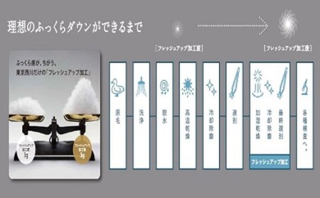 【 nishikawa / 西川 】 羽毛ふとん / ポーリッシュホワイトグースダウン93％/S【P057W】 羽毛布団 ふとん