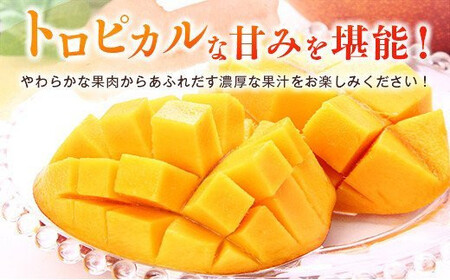 2026年発送　最高級ブランド『太陽のタマゴ』3Lサイズ2個or2Lサイズ3個【糖度15度以上】宮崎県西都市産完熟マンゴー＜18-10a＞【先行予約】