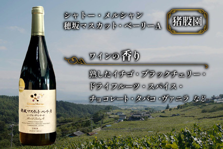 【定期便12回】赤ワイン 穂坂マスカット・ベーリーＡ シングル・ヴィンヤード 750ml 2種 アルコール度 12% [シャトー・メルシャン 勝沼ワイナリー 山梨県 韮崎市 20743314]