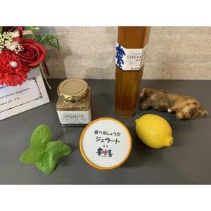 生姜を食べるジェラート10個セット