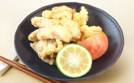 本格的な鶏料理が簡単にできる！フジジンの「鶏シリーズ」3本セット