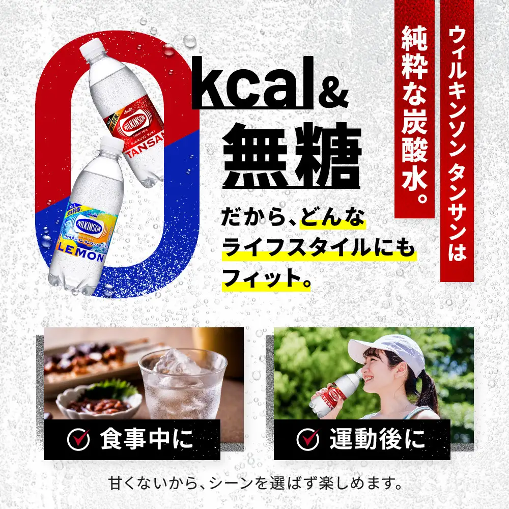 アサヒ飲料 ウィルキンソン タンサン+レモン各1箱セット（500mlペットボトル×24本×2箱）
