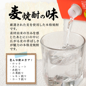 本格麦焼酎 めちゃうま麦25度2Lパック×6本セット_焼酎 麦焼酎 5年連続 金賞 福岡県酒類鑑評会 めちゃうま麦 25度 2L 6本 セット 鷹正宗 本格焼酎 プリン体糖質ゼロ 口当たり優しく まろやかな旨み 麦の香ばしさ ソフトな飲み心地 お酒 アルコール  焼酎ハイボール 福岡県 久留米市 お取り寄せ 送料無料 〔El017〕