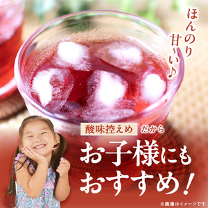 飲むブルーベリー酢　300ml×2本_お酢 ドリンク ブルーベリー 300ml 2本 飲むお酢 ブルーベリー酢 甘くて飲みやすい 希釈 3倍～5倍 果汁 アントシアニン 疲れ目予防 腸内環境改善 簡単 アレンジ 牛乳 炭酸 お酒 瓶 果実酒 お酢飲料 飲料 飲み物 健康 福岡県 久留米市 お取り寄せ 送料無料 〔Ex218〕