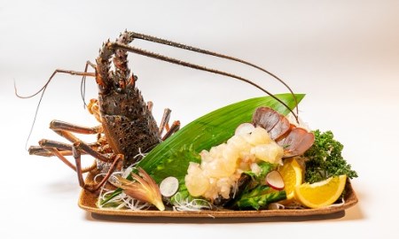 伊勢海老2.3kg（サイズおまかせ高知県産）※着日指定不可※【R00724】