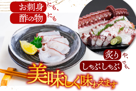【北海道根室産】刺身用たこ足1本(1kg以上) A-14228