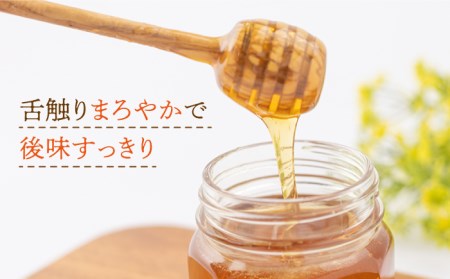 【長崎県産】大和蜜（天然はちみつ）280g×2本 長与町/蜜ロマン養蜂園 [ECE002]  百花蜜 国産 純粋蜂蜜 日本みつばち  大和蜂蜜 はつみつ ハチミツ 蜂蜜 ハニー 純粋