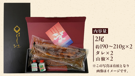 【 麻布しき 】 国産 鰻 蒲焼 × 2尾