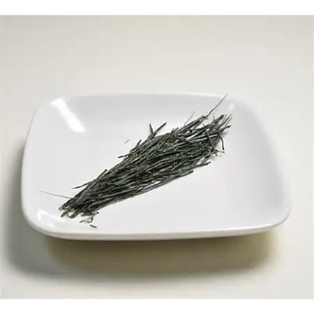 農林水産大臣賞7回受賞茶師が贈る!日本で一番高価な茶【1357223】