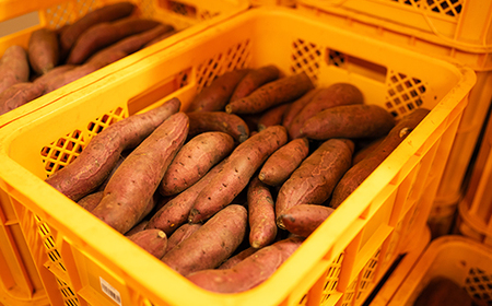 先行予約 冷凍 焼き芋 2.1kg 700g×3パックnz-vgssy2100