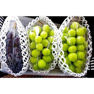 【2026年先行予約・数量限定】園主おまかせ特選ぶどう詰合せ 約２kg  (当園栽培16品種の中より厳選) ＜2026年8月中旬～発送＞