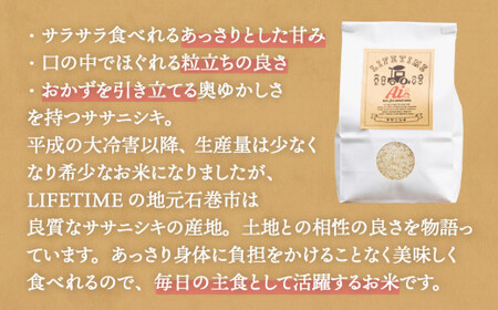 米 ササニシキ サラサラすすむ"安心"のお米 白米 13.5kg 化学肥料不使用 お米 コメ こめ ささにしき ご飯 ごはん 主食 ライス 産地直送 国産 宮城県 石巻市