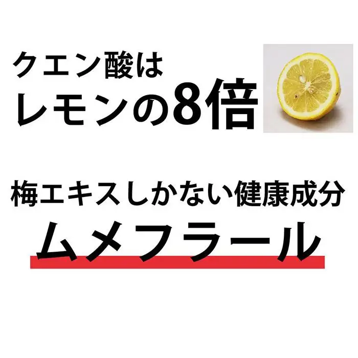 梅エキス 紀州の赤本純正70g【元気ノ国】