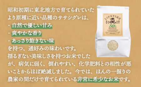 米 ササシグレ 白米 22.5kg 農薬不使用 化学肥料不使用 ささしぐれ お米 コメ こめ おこめ ご飯 ごはん 希少 優しい 甘み