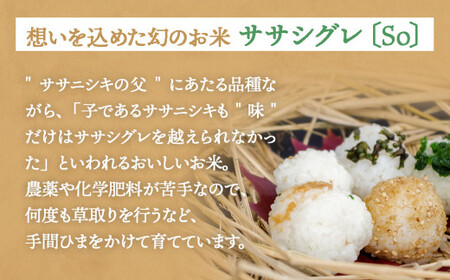 米 食べ比べSET ササシグレ 玄米 5kg ササニシキ 玄米 5kg ささしぐれ ささにしき お米 コメ こめ おこめ ご飯 ごはん 希少 優しい 甘み