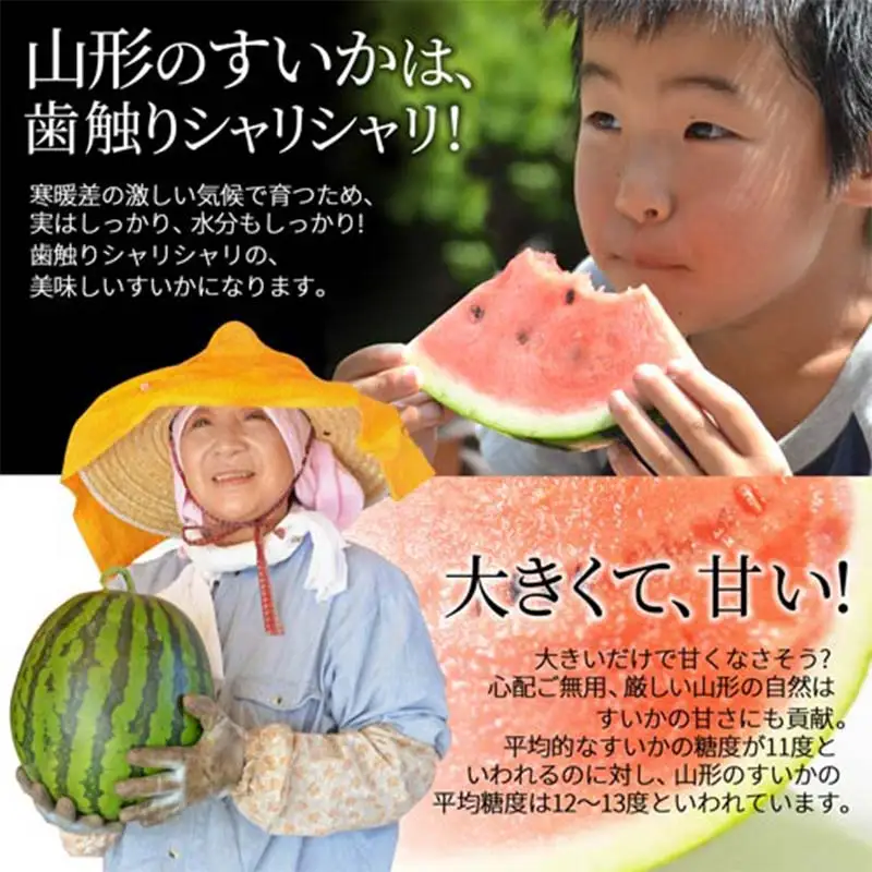 《先行予約 2026年7月中旬頃～8月上旬頃発送》山形県産 すいか 秀品 1玉 （約9～10kg前後） スイカ すいか 西瓜 デザート フルーツ 果物 くだもの 果実 食品 山形県 FSY-2394
