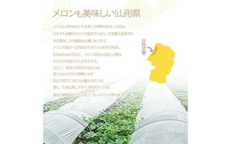 《先行予約 2026年7月上旬発送》山形県産 青肉メロン 4.5kg以上 （約3～6玉入り） FSY-2380
