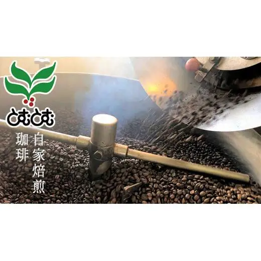 珈琲カステラ ＆ 珈琲花蜜カステラ の ドリップパック セット 3種
