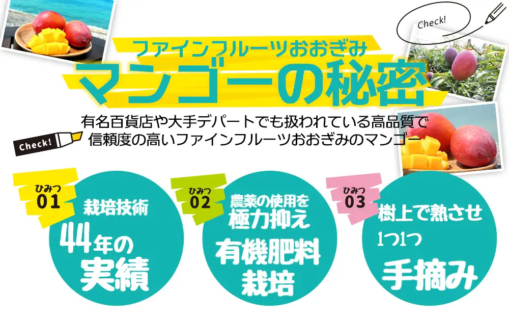 【2026年発送】生産者応援！！訳ありだが美味しい完熟アップルマンゴー約2kg 農園直送！ 訳アリ 先行予約 沖縄 甘味 糖度 濃厚 美味しい 自分用 おいしい ふるさと納税 とろける甘さ 香り アーウィン 果汁 送料無料 箱入り トロピカル フードロス わけあり ２キロ