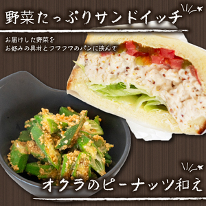 【 野菜 】 野菜セット 6～8品