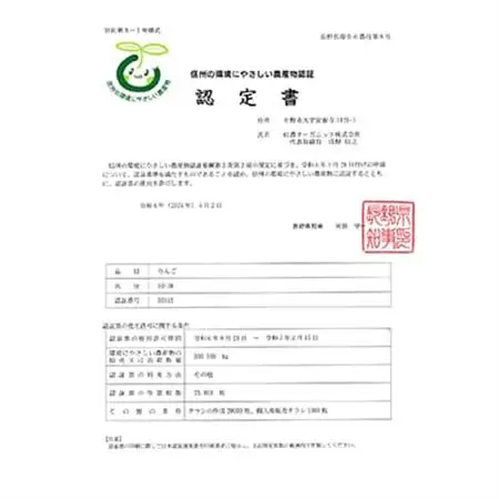 【訳あり】【先行受付】 りんご サンふじ 10kg 家庭用 長野県産【1496268】