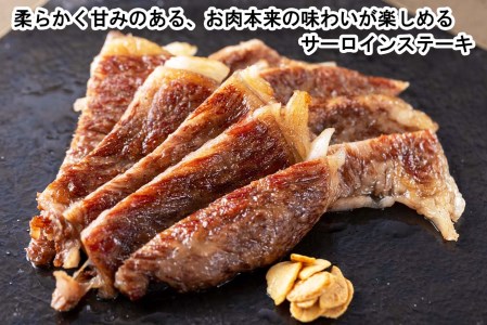 ＜定期便４回＞ 北海道産 黒毛和牛 みついし牛 ヒレ ＆ サーロイン 定期便
