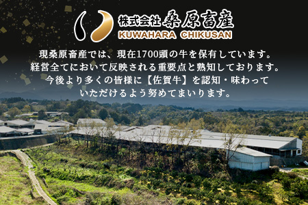 佐賀牛 ロース ステーキ用 500g (2枚入) D-173 (佐賀牛サーロイン 佐賀牛リブロースのいずれか500g)美味しい佐賀牛を贅沢にお届け