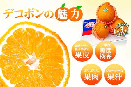 デコポン 約3kg 熊本県産 (荒尾市産含む) 不知火 柑橘 フルーツ 果物 フレッシュフーズ 《2027年3月上旬-4月中旬頃出荷》 美味しいデコポン 旬のデコポン ジューシーデコポン フルーツデコポン