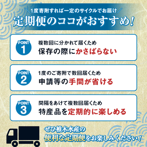 ＜定期便・全2回(冷蔵便)＞鹿児島県産！阿久根のきびなごお刺身セット(40尾×4P×2回)国産 魚介 おつまみ おかず 頒布会 青魚 子魚 小分け【椎木水産】akn054-10