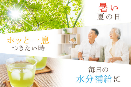お～いお茶 緑茶PET 2L 6本入り×2ケース 計12本 伊藤園 ドリンク 飲料 セット ペットボトル 伊藤園 お茶 グリーンティーお中元 オフィス ストック 備蓄 新生活 応援 準備 【114_2075】