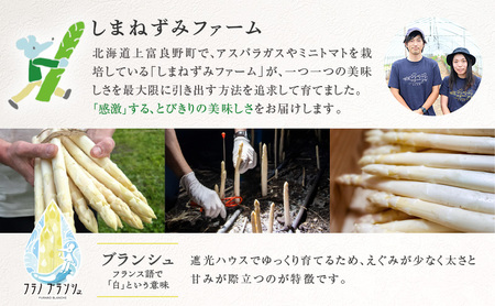 【令和8年産】 〔メディア掲載されました〕 ホワイト アスパラガス 2L 800g 春アスパラ 野菜 旬 新鮮 産地直送 甘い 極太 お取り寄せ グルメ 高評価 限定 北海道 上富良野産 