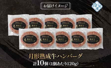 月形熟成牛 ハンバーグ 120g 10個 計 1200g 1.2kg 北海道フード株式会社 無添加 熟成肉 冷凍 ギフト 詰め合わせ 和牛 赤身 牛肉 お弁当 ランチ 昼食 夕食 おかず 惣菜 バーベキュー 焼肉 キャンプ アウトドア【 月形町 】