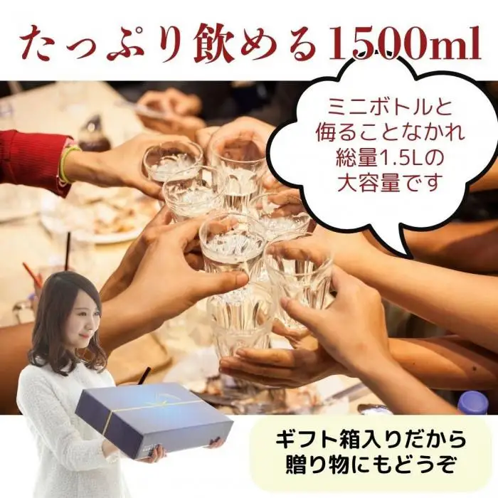 【ふるさと納税】日本酒 飲み比べセット 越後銘門酒会長岡の銘酒 飲み比べ 300ml×5本 （越乃寒梅 八海山 吉乃川 越の誉 越後桜） 新潟 セット 辛口 ギフト 正月 年越し