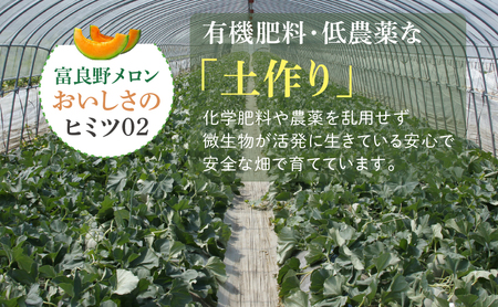 【数量限定！】※訳あり※ 富良野 メロン 約4kg〈2玉～4玉入り〉メロン フルーツ 果物