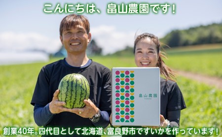 【2026夏発送】富良野産 大玉 スイカ 2L（7kg～）1玉 【マイティ21】北海道 ふらの すいか 西瓜 夏 フルーツ ふらの 甘い 糖度 大きい 大だま (畠山農園）