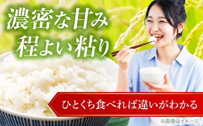 お米 白王(HAKUO)5kg お米 BLAZ002