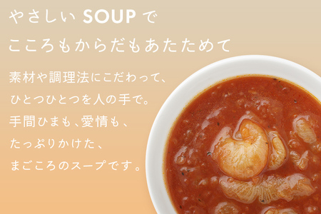 ピエトロ スープ PIETRO A DAY 18食セット